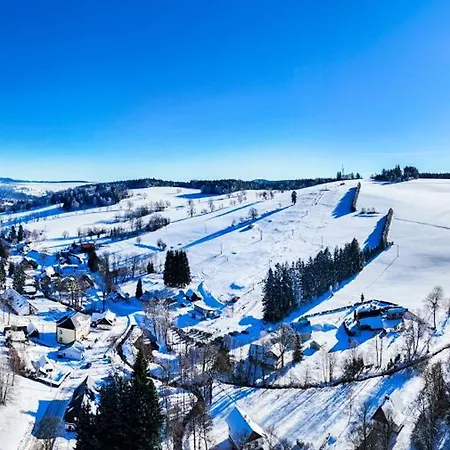 Domecek Lyzaku Apartament Bartosovice v Orlickych Horach